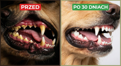 DentaVet™ Pro – Enzymatyczna Formuła Przeciw Kamieniowi dla psów