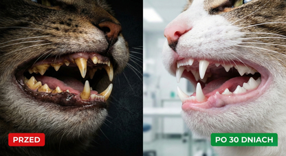 DentaVet™ Pro – Enzymatyczna Formuła Przeciw Kamieniowi dla kotów