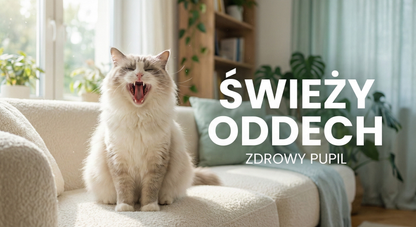 DentaVet™ Pro – Enzymatyczna Formuła Przeciw Kamieniowi dla kotów