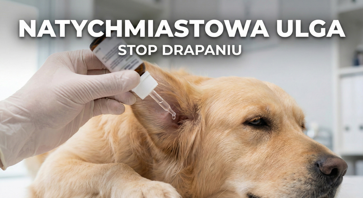 OtiVet™ Forte – Formuła Antybakteryjna do Higieny Uszu dla psów